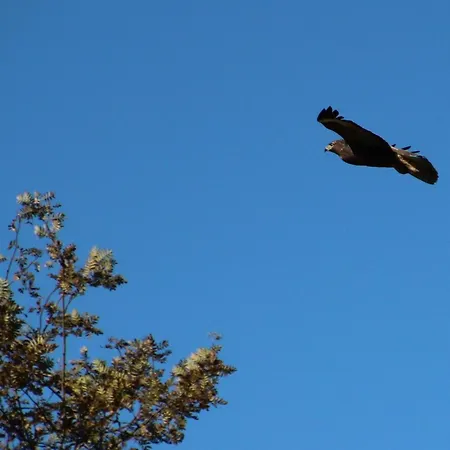 Apartman Bi Abbas Jong *