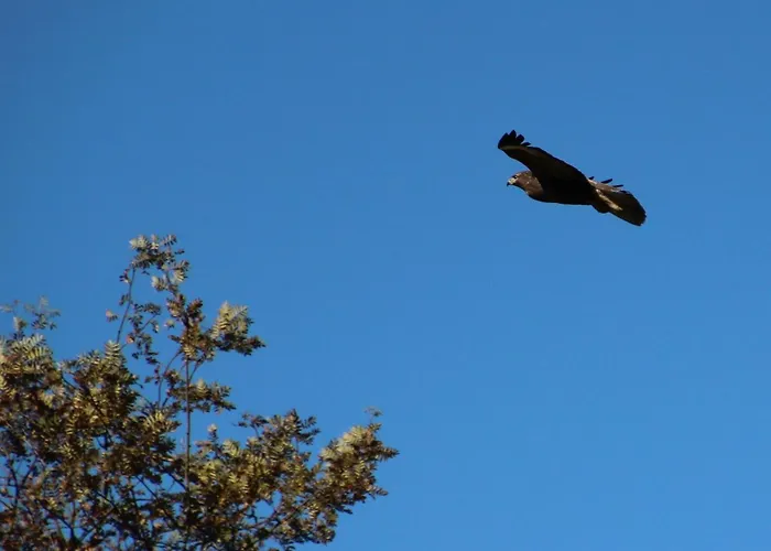 Appartamento Bi Abbas Jong *